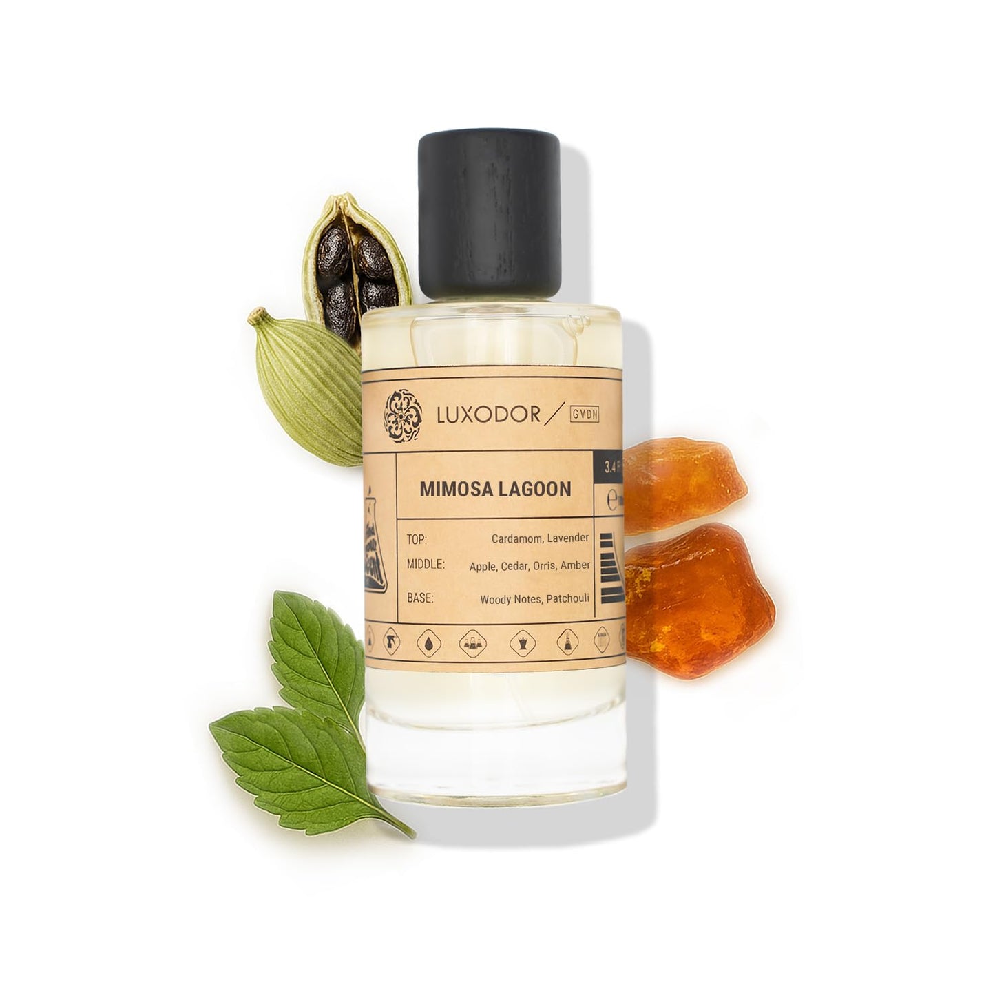 Inspired by Y S.L's B.lack O.pium 3.4 fl. oz (100ml) Damascus Poemy with Pheromone Roll-On Oil 10 ml | Women’s Dupes Fragrances | Long Lasting Perfume Vanilla for Women | Womens Perfume