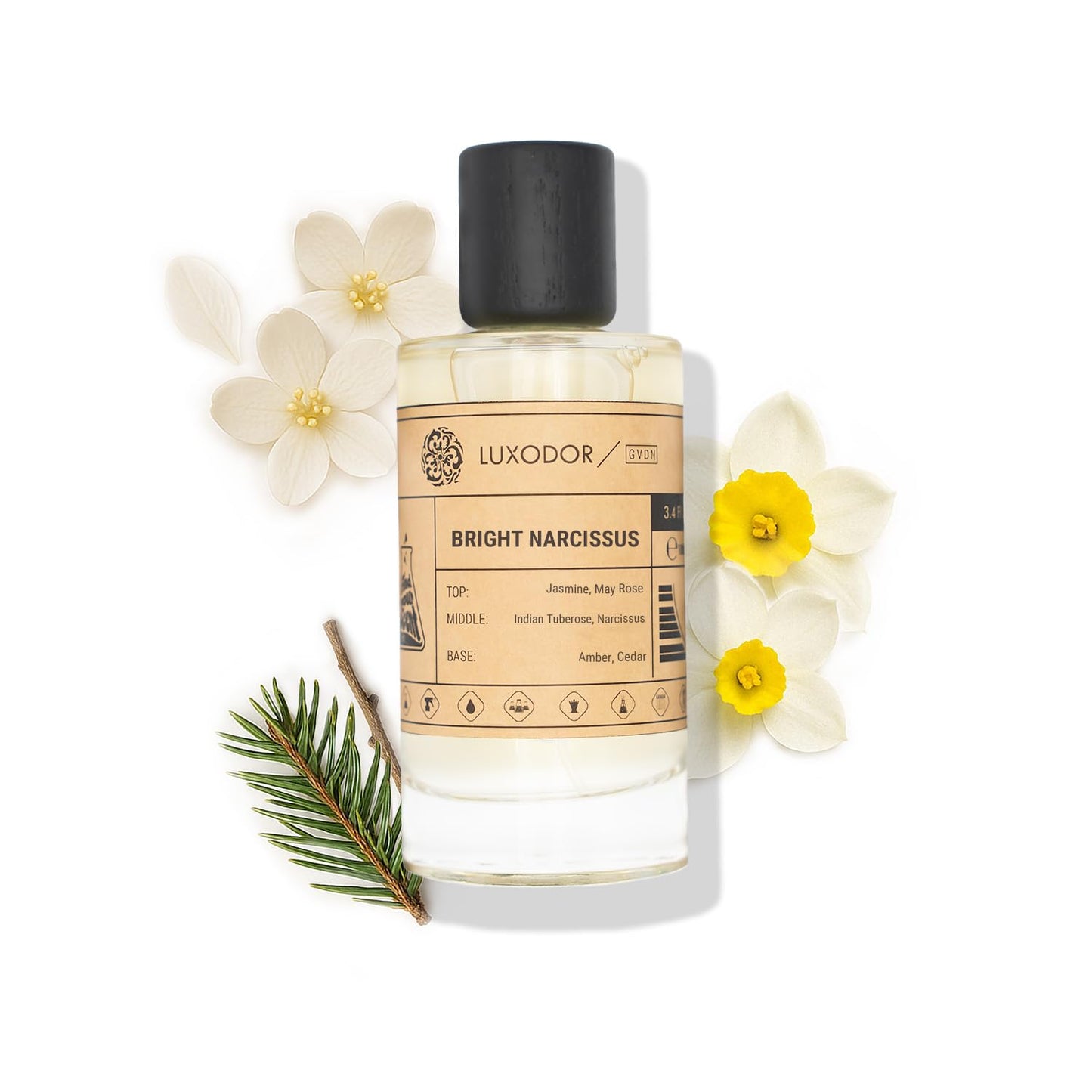 Inspired by Y S.L's B.lack O.pium 3.4 fl. oz (100ml) Damascus Poemy with Pheromone Roll-On Oil 10 ml | Women’s Dupes Fragrances | Long Lasting Perfume Vanilla for Women | Womens Perfume
