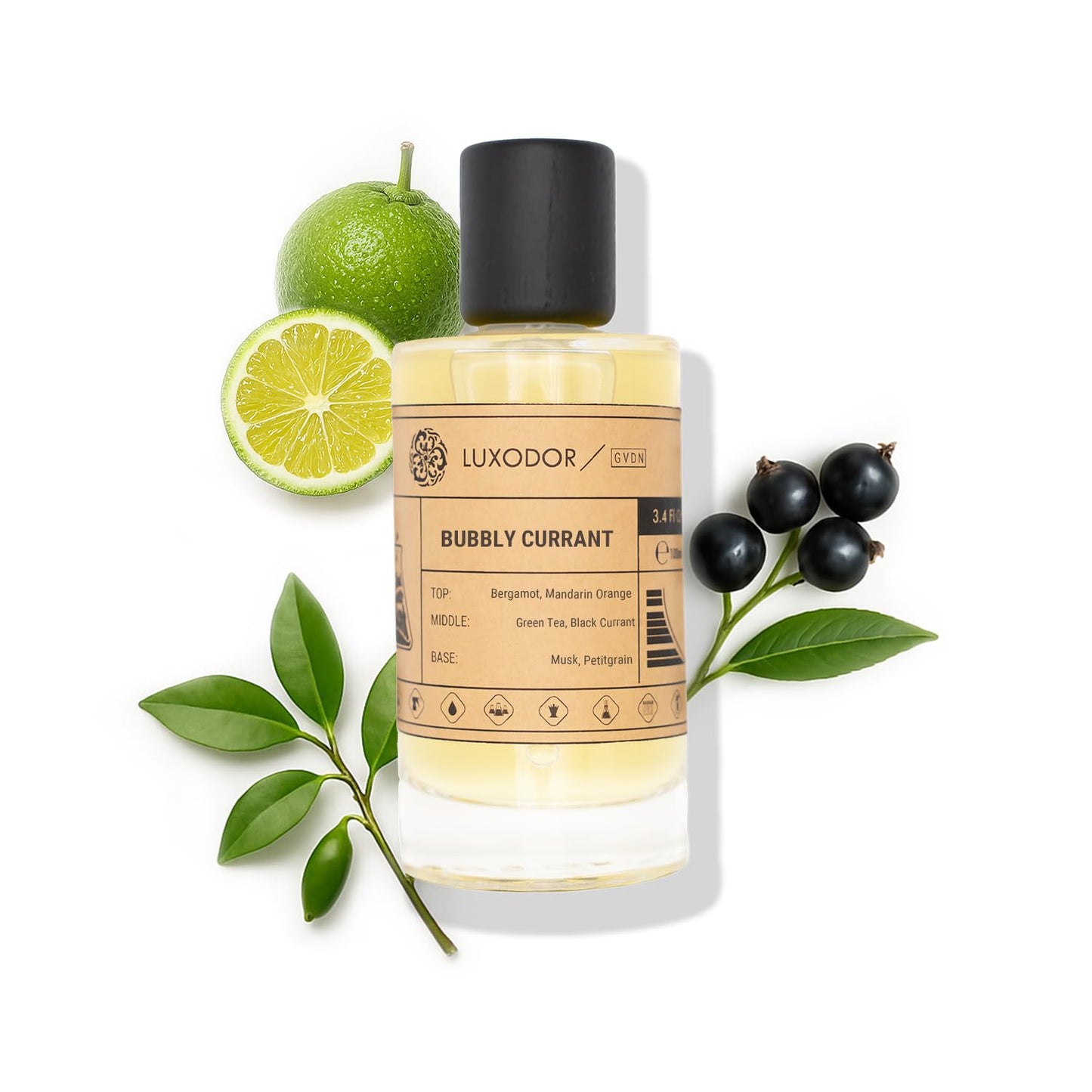 Inspired by Y S.L's B.lack O.pium 3.4 fl. oz (100ml) Damascus Poemy with Pheromone Roll-On Oil 10 ml | Women’s Dupes Fragrances | Long Lasting Perfume Vanilla for Women | Womens Perfume