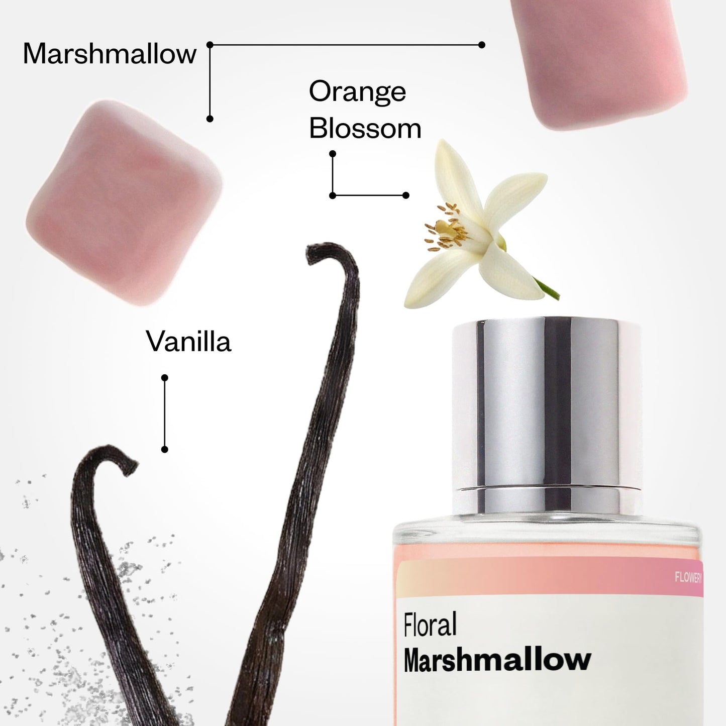 Dossier - Ambery Vanilla - Eau de Parfum - Vanilla Perfume - Inspired by Black Opium - Long-Lasting Fragrance - Feminine - 1.7 fl oz (50ml)