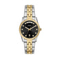 Fossil Women's Watch, Scarlette Quartz Stainless Steel Three-Hand Watch for Women