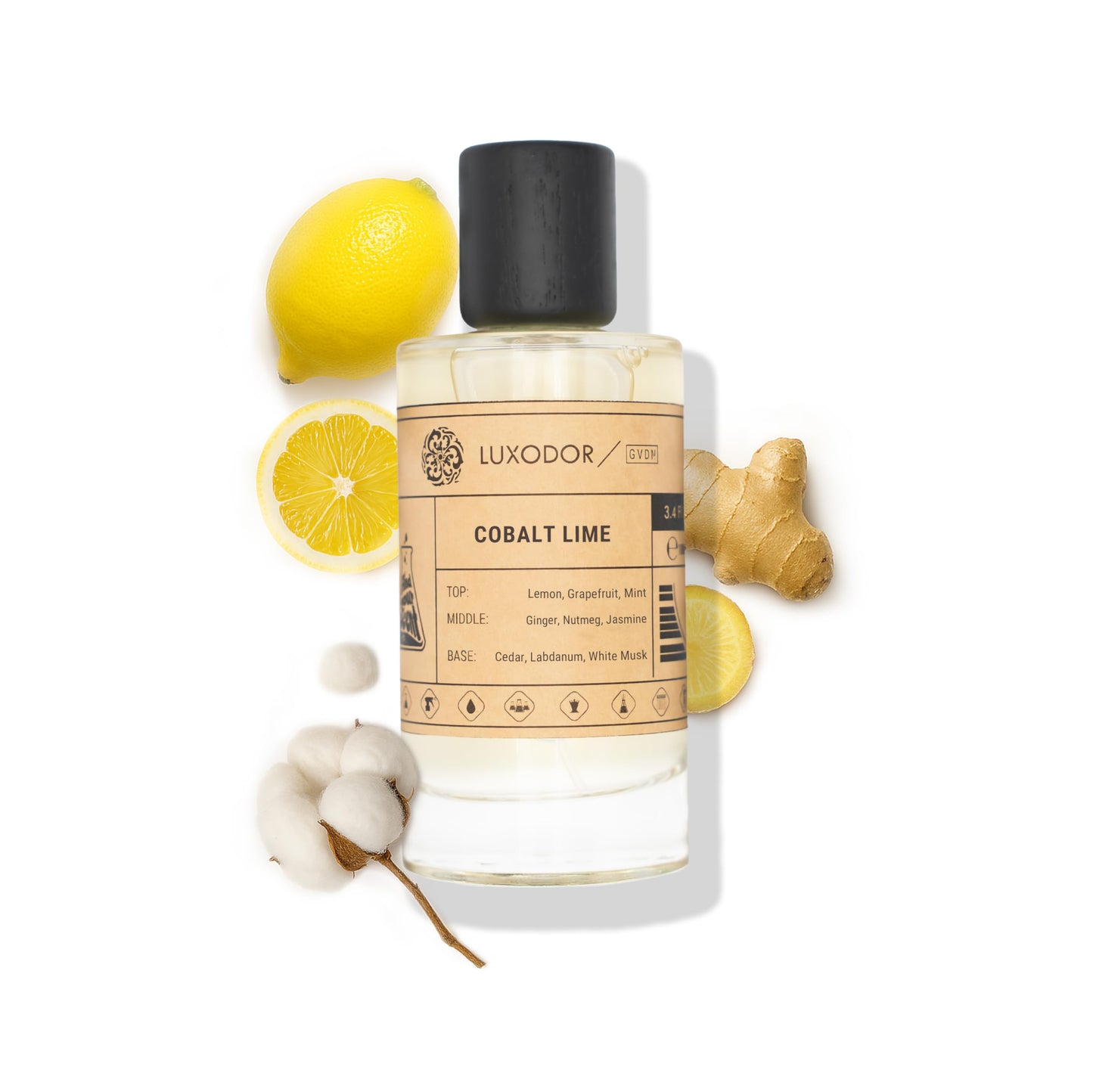 Inspired by Y S.L's B.lack O.pium 3.4 fl. oz (100ml) Damascus Poemy with Pheromone Roll-On Oil 10 ml | Women’s Dupes Fragrances | Long Lasting Perfume Vanilla for Women | Womens Perfume