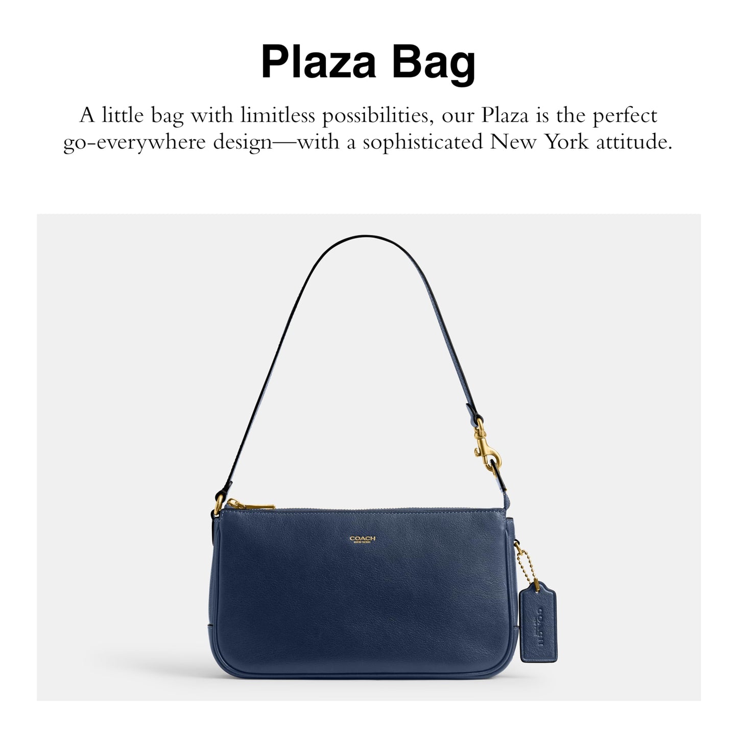 Coach Women's Natural Grain Leather Plaza Bag