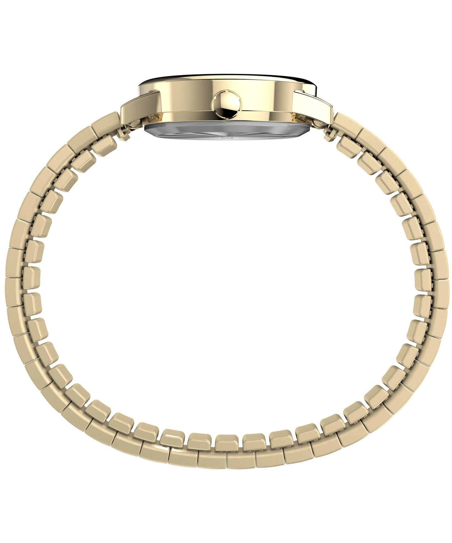 Timex Women's Easy Reader Watch