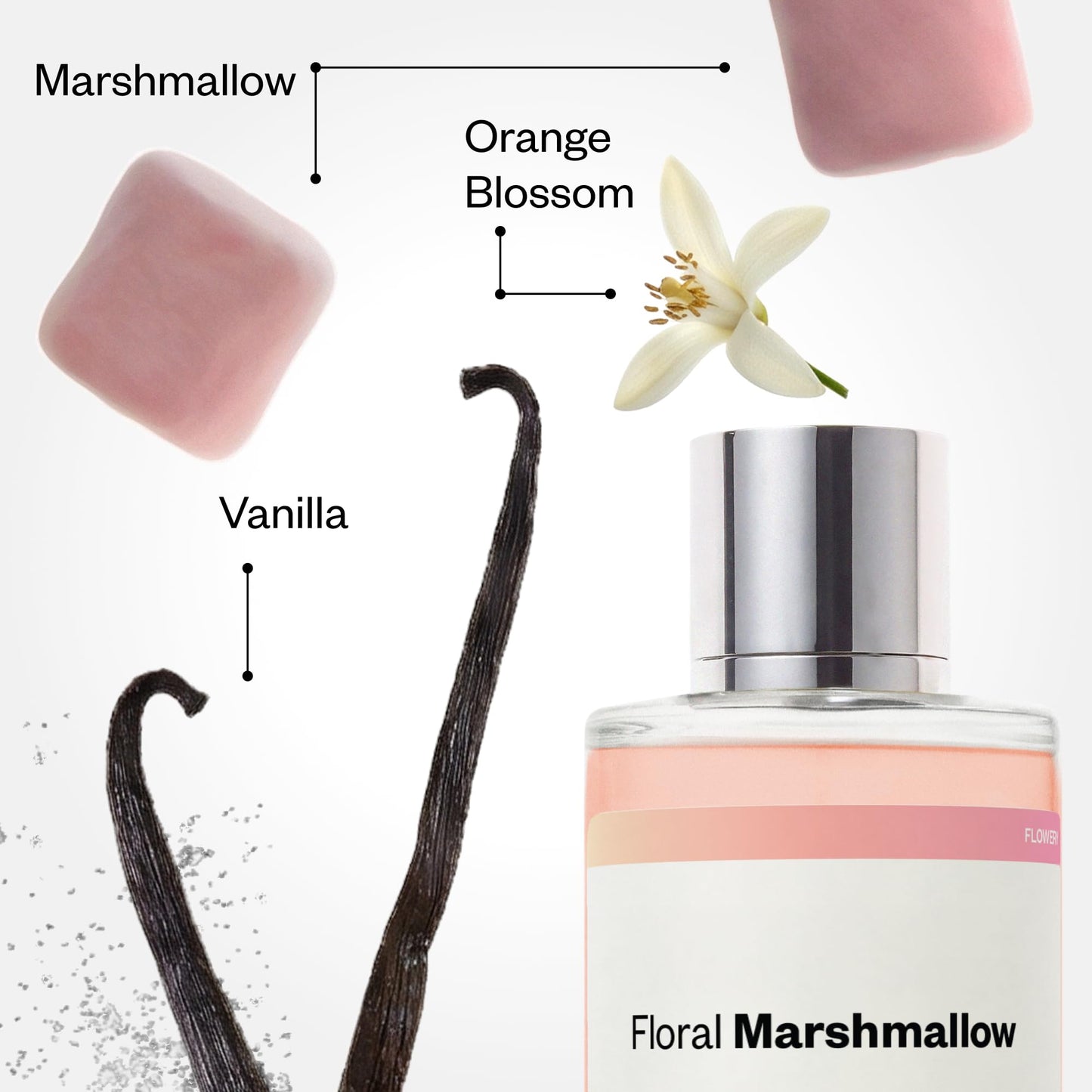 Dossier - Ambery Vanilla - Eau de Parfum - Vanilla Perfume - Inspired by Black Opium - Long-Lasting Fragrance - Feminine - 1.7 fl oz (50ml)