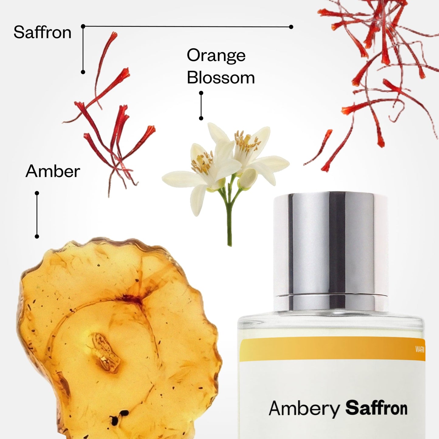 Dossier - Ambery Vanilla - Eau de Parfum - Vanilla Perfume - Inspired by Black Opium - Long-Lasting Fragrance - Feminine - 1.7 fl oz (50ml)