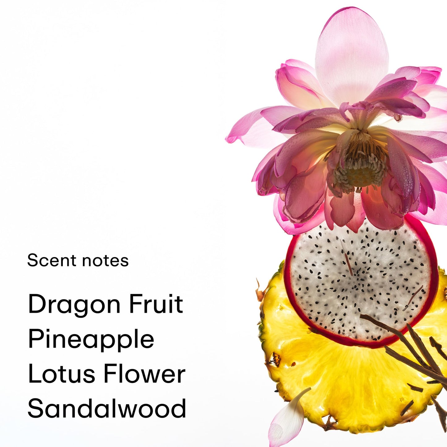 PHLUR Vanilla Skin Body Mist, 8 Fl Oz - Hair and Body Perfume for Women | Vanilla Perfume Body Spray with Pink Pepper, Cashmere Wood & Sandalwood Fragrance