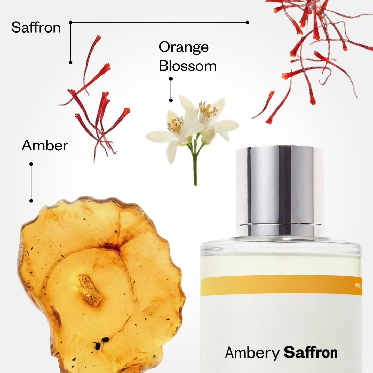Dossier - Ambery Vanilla - Eau de Parfum - Vanilla Perfume - Inspired by Black Opium - Long-Lasting Fragrance - Feminine - 1.7 fl oz (50ml)