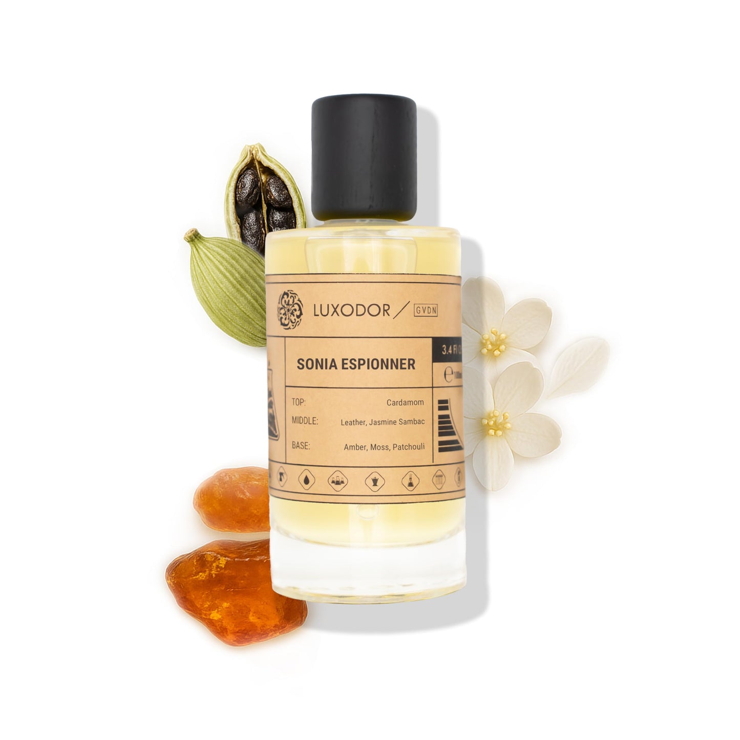 Inspired by Y S.L's B.lack O.pium 3.4 fl. oz (100ml) Damascus Poemy with Pheromone Roll-On Oil 10 ml | Women’s Dupes Fragrances | Long Lasting Perfume Vanilla for Women | Womens Perfume