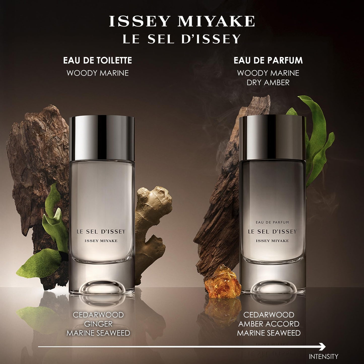 Issey Miyake Le Sel d'Issey Eau de Toilette - Fresh Woody Marine Fragrance for Men - With Salt Accord, Marine Seaweed, Ginger & Cedarwood - Refillable