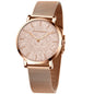 HANNAH MARTIN Watches for Women Analog Women's Watch with Stainless Steel Expansion Band Minimalist Slim Dial 30M Waterproof Ladies Dress Wristwatch for Casual Daily Business