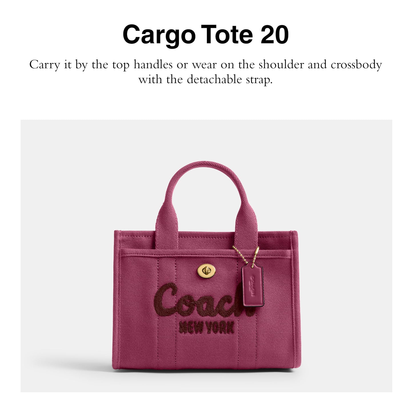 Coach Women's Leopard Cargo Tote 20