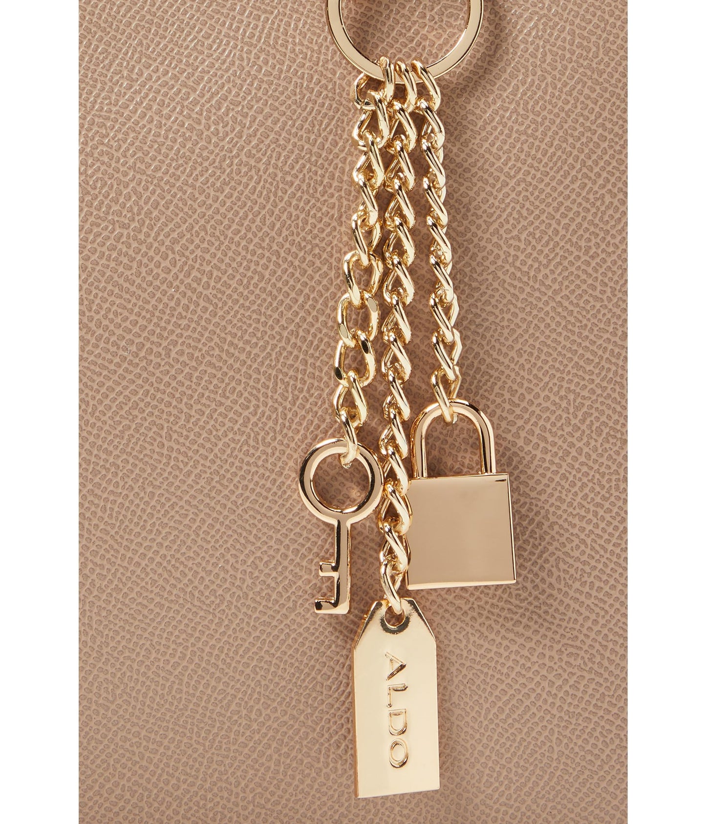 ALDO Women's Legoirii Tote Bag
