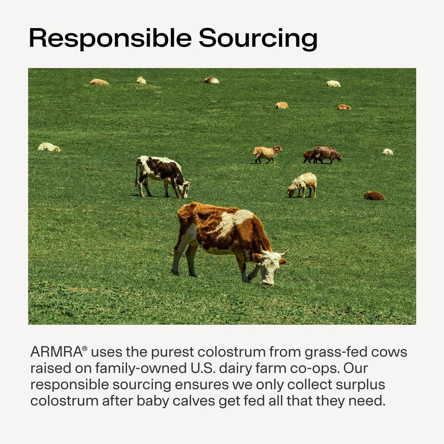 ARMRA Colostrum™ Powder | Blood Orange | Gut Health & Bloating | Skin & Hair | Immunity | Keto, Gluten & Fat-Free | 30 Servings