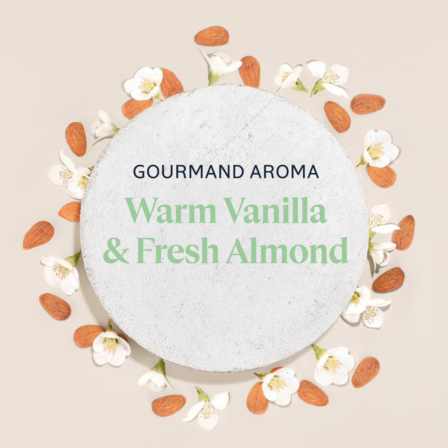 L'OCCITANE Almond Body Oil, Moisturizes, Nourishes, Hydrates, Softens Dry Skin, Absorbs Fast, Lightweight, Non-Greasy, Luxurious Post-Shower Skincare