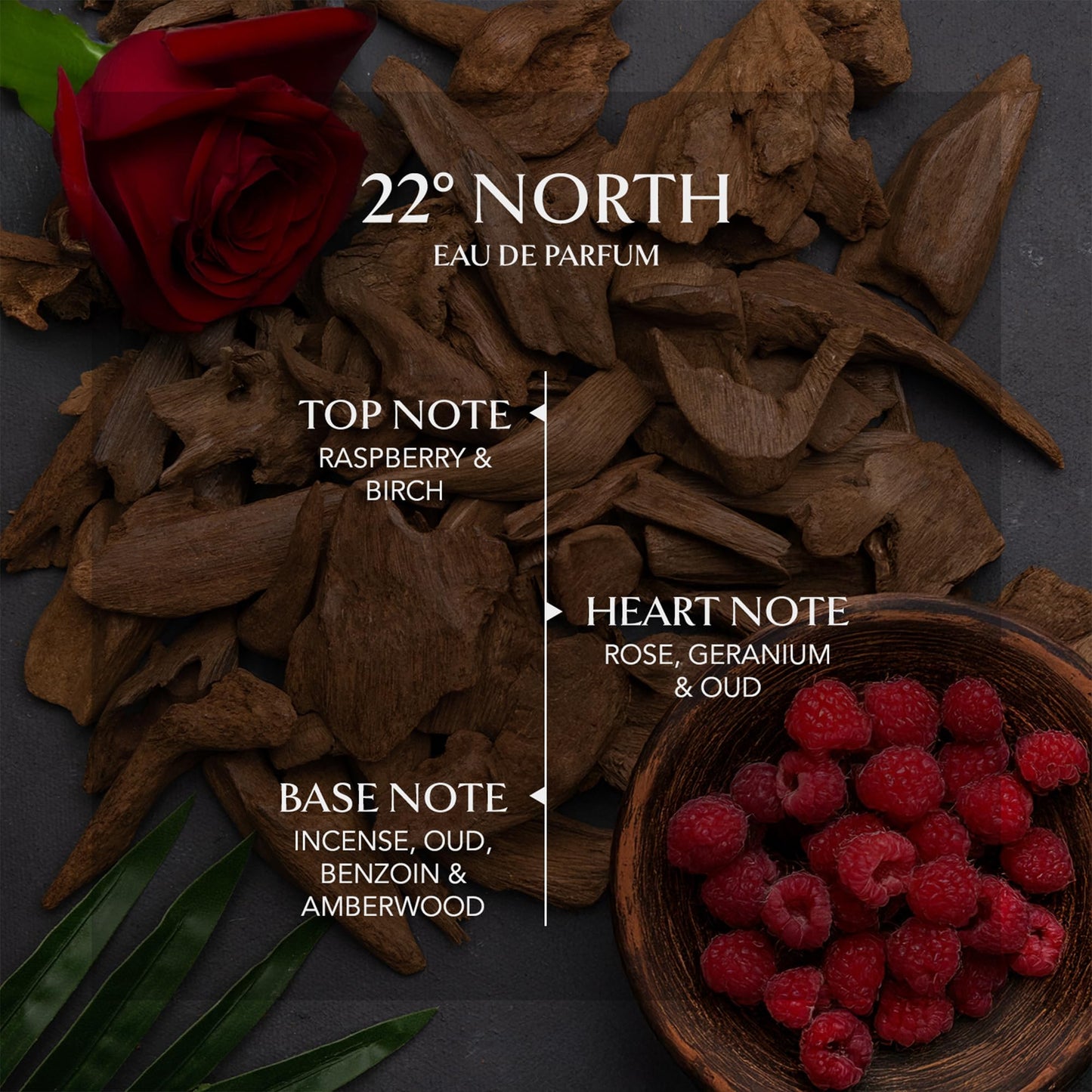 EMBAROUGE 22° North Eau De Parfum | Long Lasting Luxury Perfume for Men & Women | Inspired by French Perfumery | 100ml