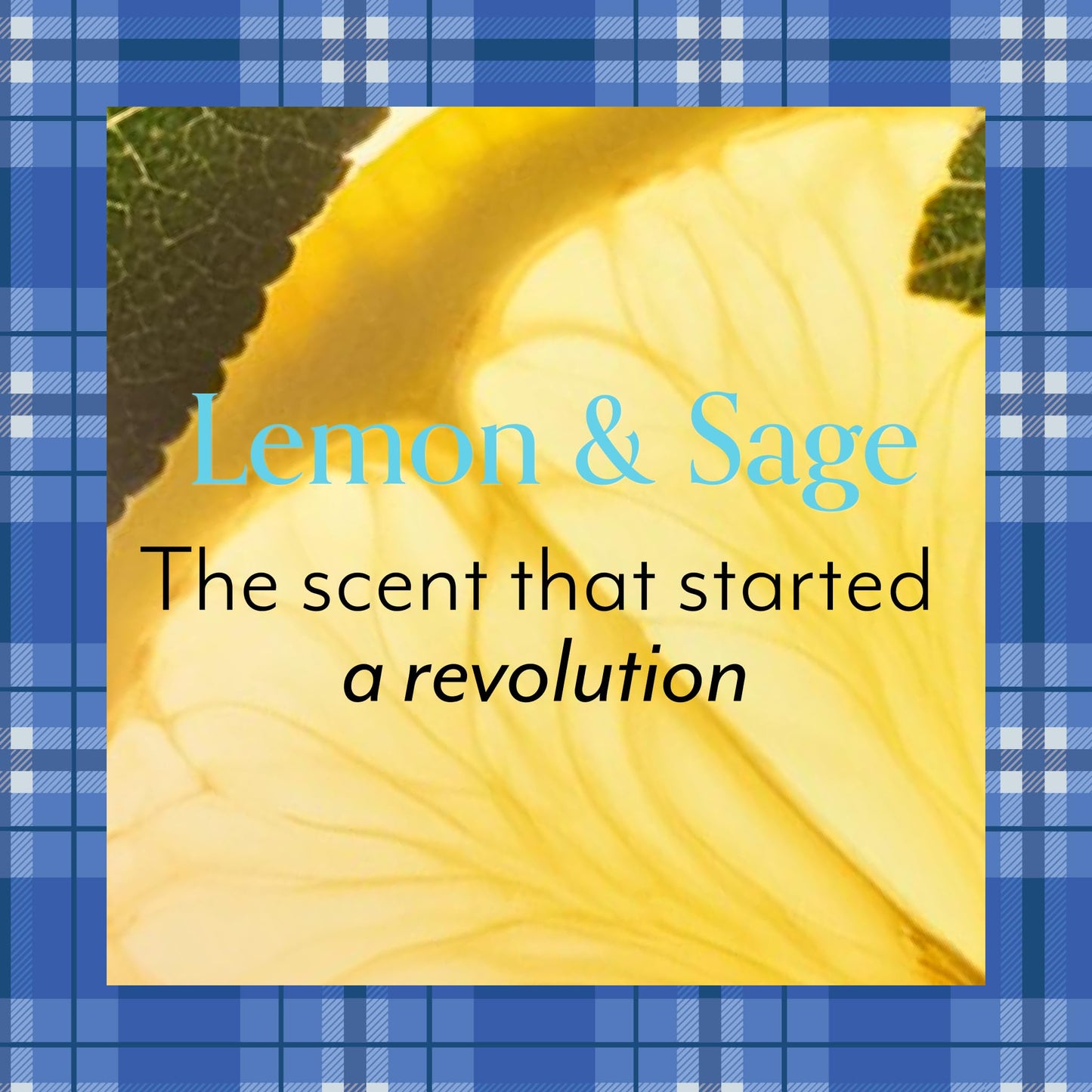 Bliss Lemon and Sage Body Butter - Iconic Scent with Shea Butter and Coconut Oil for Long-Lasting Maximum Moisture - Body Lotion for Smooth, Soft Skin - Vegan and Cruelty-Free - 6.7 Fl Oz