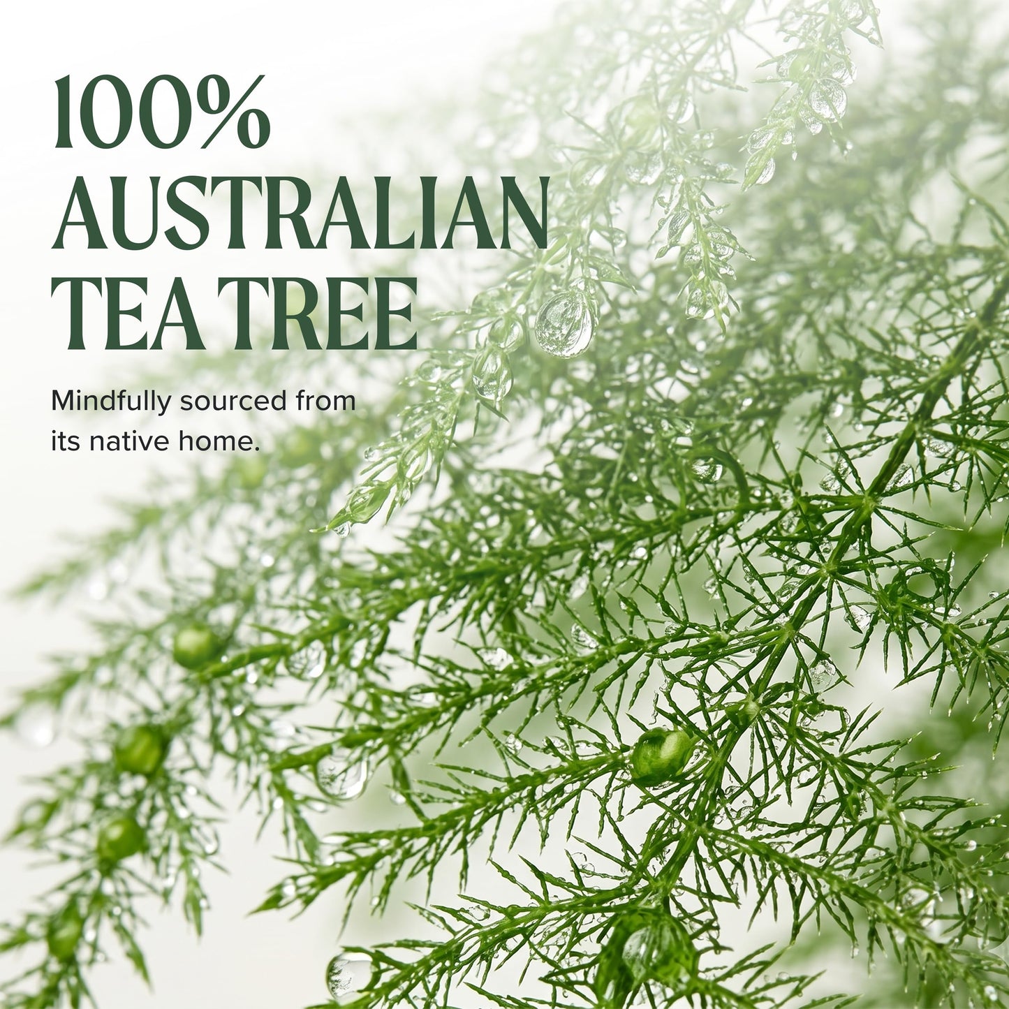 Tea Tree Hair and Body Moisturizer Leave-In Conditioner, Body Lotion, After-Shave Cream, For All Hair + Skin Types