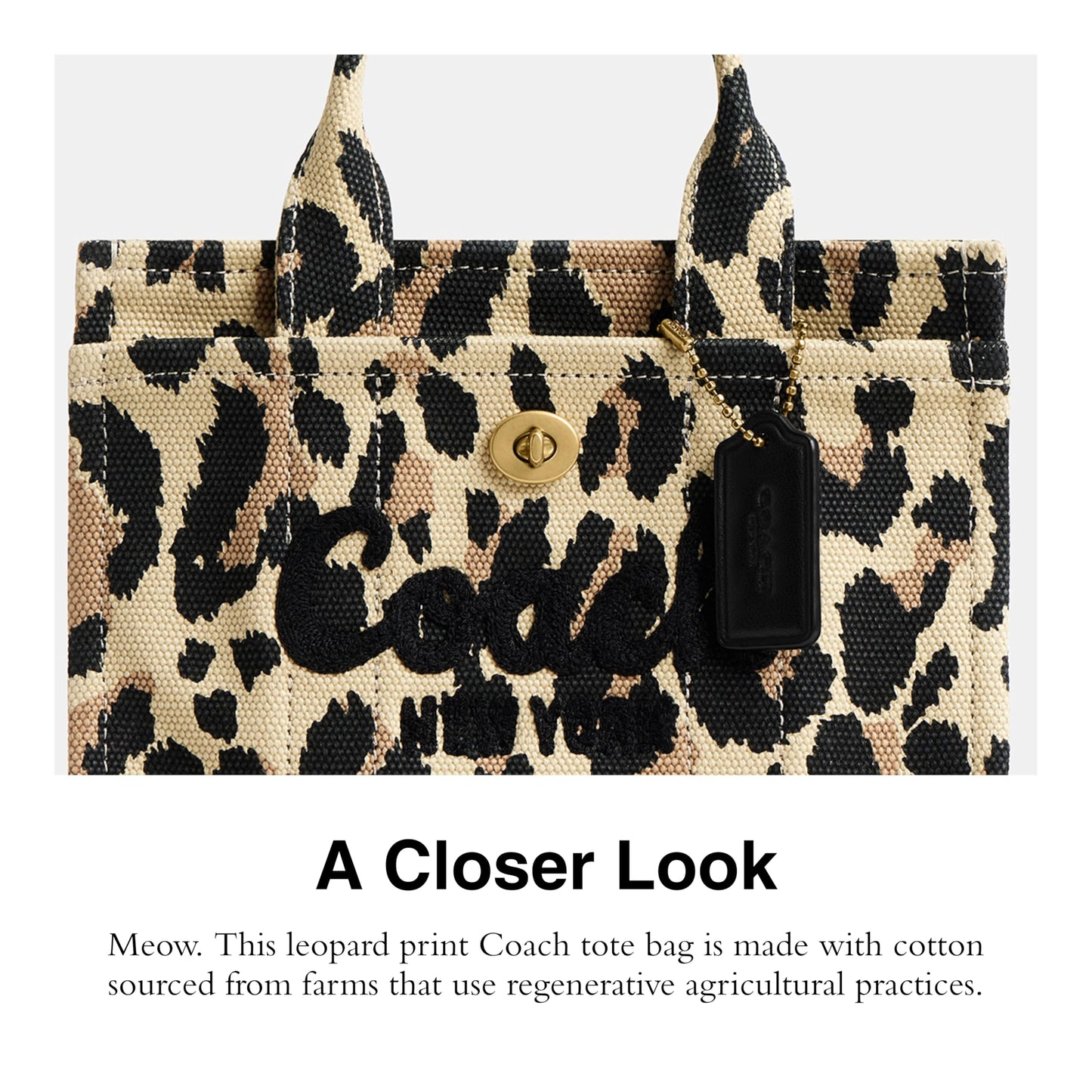 Coach Women's Leopard Cargo Tote 20